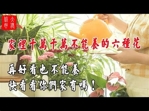 家裡不能放的花|家居風水｜7大不吉利植物千萬不能種在家！繡球花、 